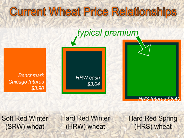 Currently, HRW wheat is underpriced, especially in its cash bids, when compared to its typical relationship with the benchmark Chicago futures contract. Meanwhile, HRS wheat looks overpriced if one considers only the mathematically typical price relationship. (Illustration by Elaine Kub)